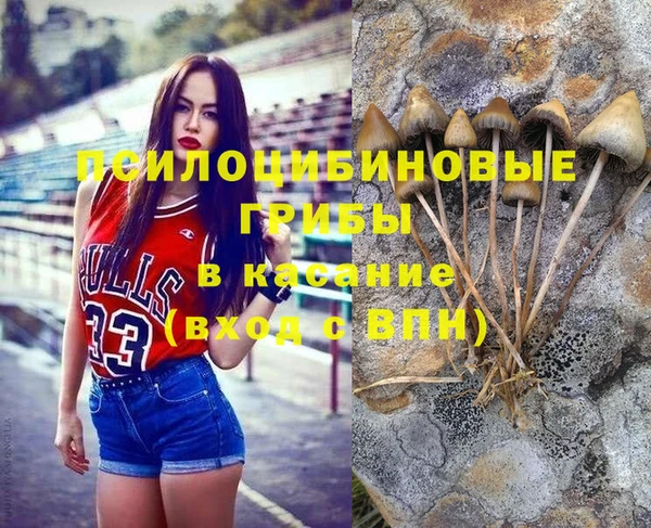 ГАЛЛЮЦИНОГЕННЫЕ ГРИБЫ Арсеньев