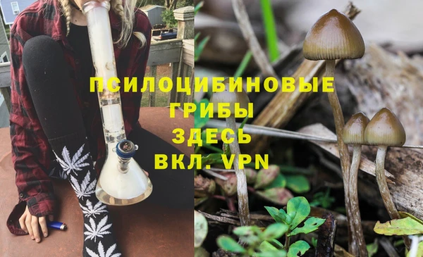 ГАЛЛЮЦИНОГЕННЫЕ ГРИБЫ Арсеньев