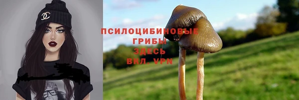 мет Армянск