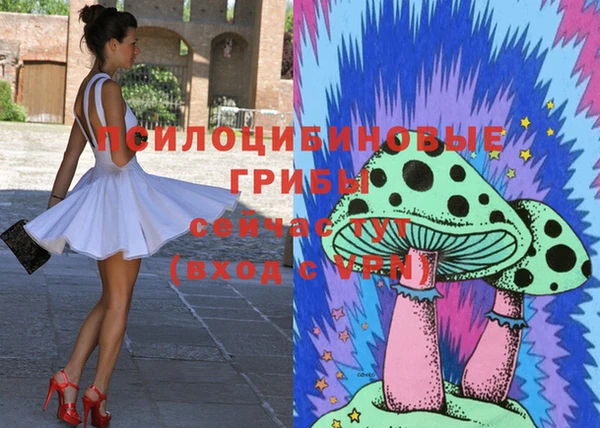 гидропоника Аркадак