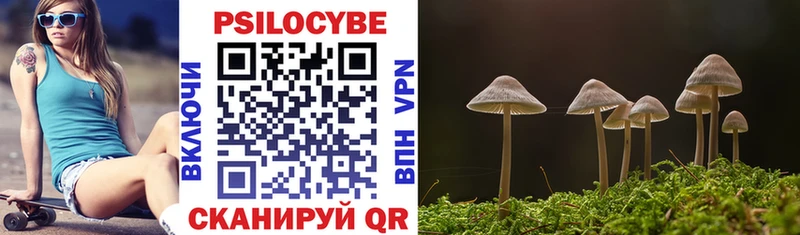 где купить наркотик Арсеньев Псилоцибиновые грибы Cubensis