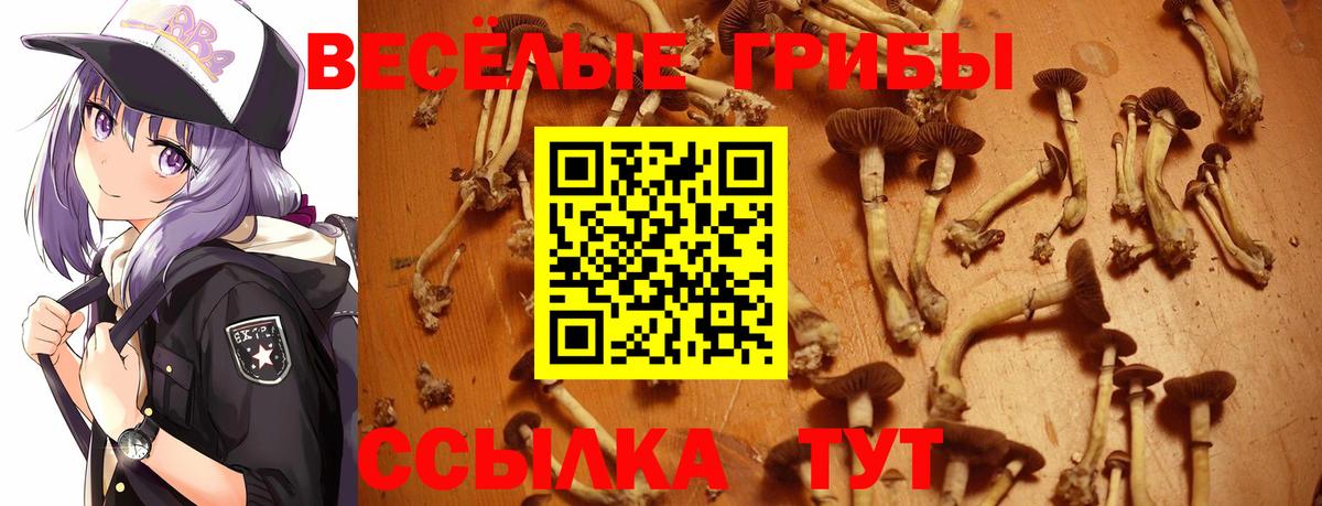 Галлюциногенные грибы Cubensis  Галлюциногенные грибы GOLDEN TEACHER  Вход с VPN  Арсеньев 