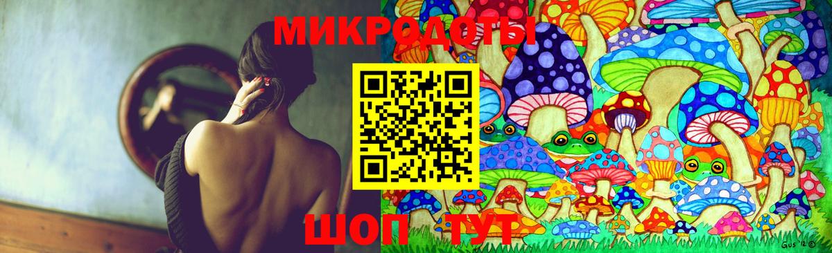 Псилоцибиновые грибы мицелий Арсеньев